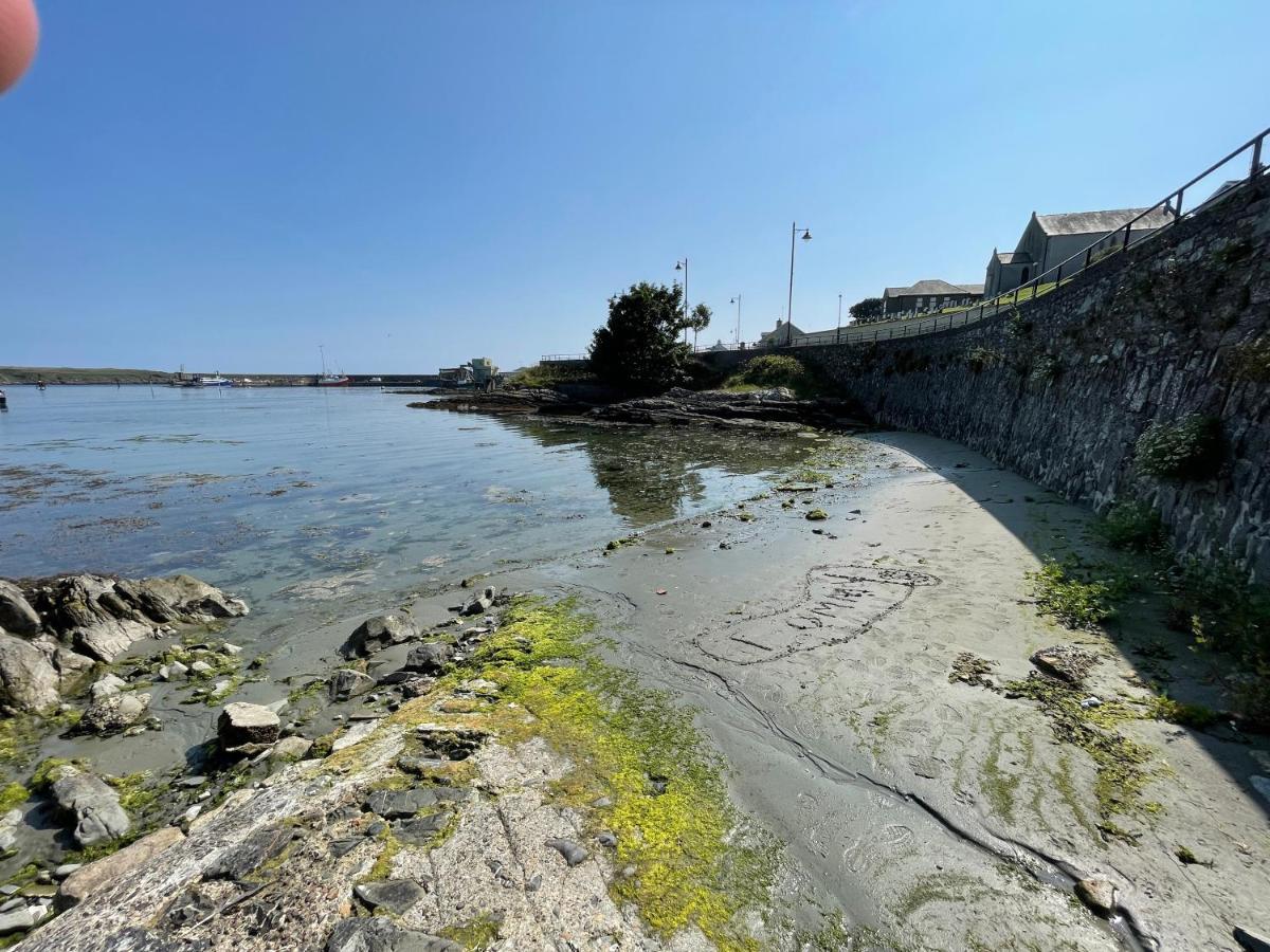 Lovely Apartment Overlooking The Harbour And Bay Ardglass Zewnętrze zdjęcie
